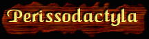 [Perissodactyla]
