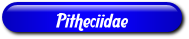 [Pitheciidae]