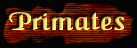 [Primates]