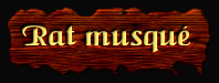 [Rat Musqué]