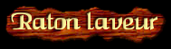 [Raton Laveur]
