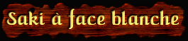 [Saki a face blanche]