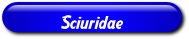 [Sciuridae]