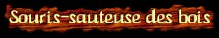 [Souris-sauteuse des bois]