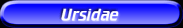 [Ursidae]