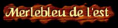 [Merlebleu de l'est]