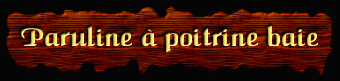 [Paruline à poitrine baie]