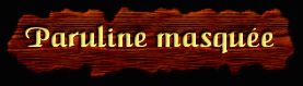 [Paruline Masquée]
