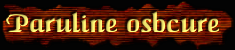 [Paruline obscure]
