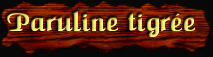 [Paruline tigree]