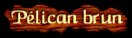 [Pelican brun]