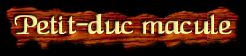 [Petit-duc macule]
