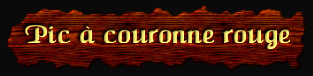 [Pic a couronne rouge]