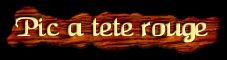 [Pic a tete rouge]