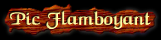 [Pic Flamboyant]