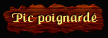 [Pic poignardé]