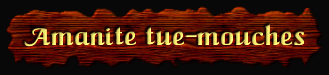 [Amanite tue-mouches]