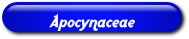 [Apocynaceae]