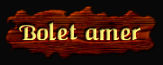 [Bolet amer]