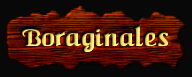 [Boraginales]