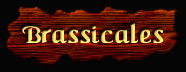 [Brassicales]