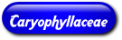 [Caryophyllaceae]