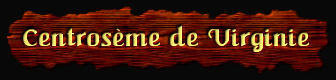 [Centrosème de Virginie]