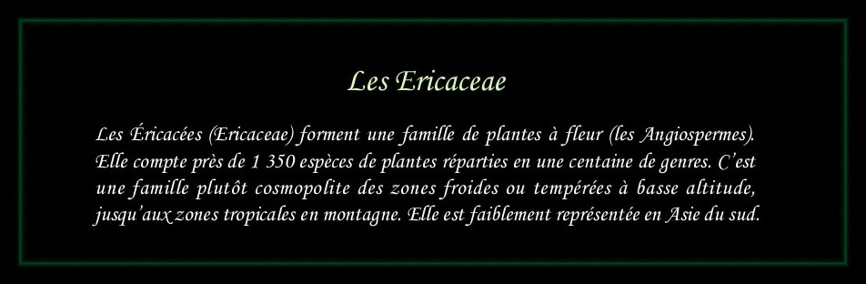 [Logo Ericaceae]