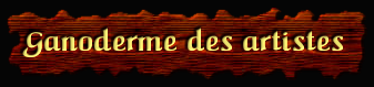 [Ganoderme des Artistes]