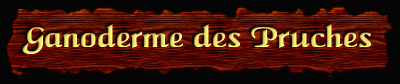 [Ganoderme des Pruches]