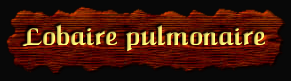 [Lobaire pulmonaire]