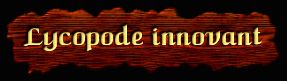 [Lycopode innovant]
