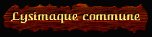[Lysimaque commune]