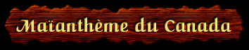 [Maiantheme du Canada]