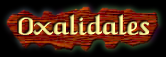 [Oxalidales]