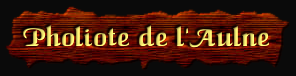 [Pholiote de l'Aulne]