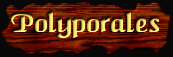 [Polyporales]