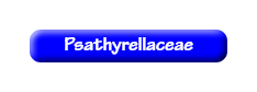 [Psathyrellaceae]