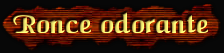 [Ronce odorante]