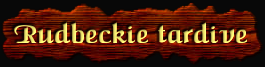[Rudbeckie tardive]