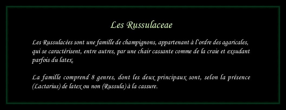 [Logo Russulaceae]