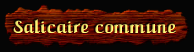 [Salicaire commune]