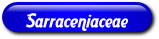 [Sarraceniacae]