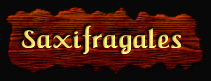 [Saxifragales]