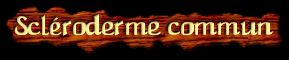 [Scleroderme commun]