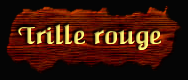 [Trille rouge]