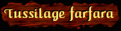 [Tussilage farfara]