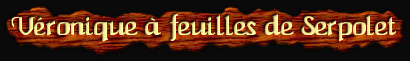 [Veronique a feuilles de Serpolet]