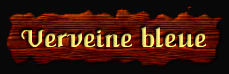 [Verveine bleue]