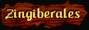 [Zingiberales]
